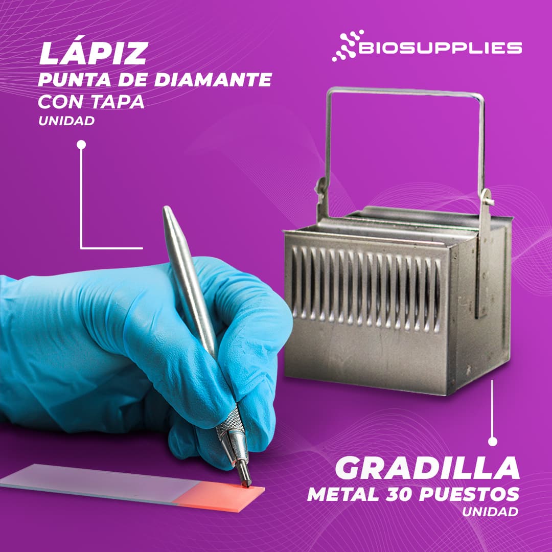Lápiz punta diamante y gradilla metálica — Biosupplies CC