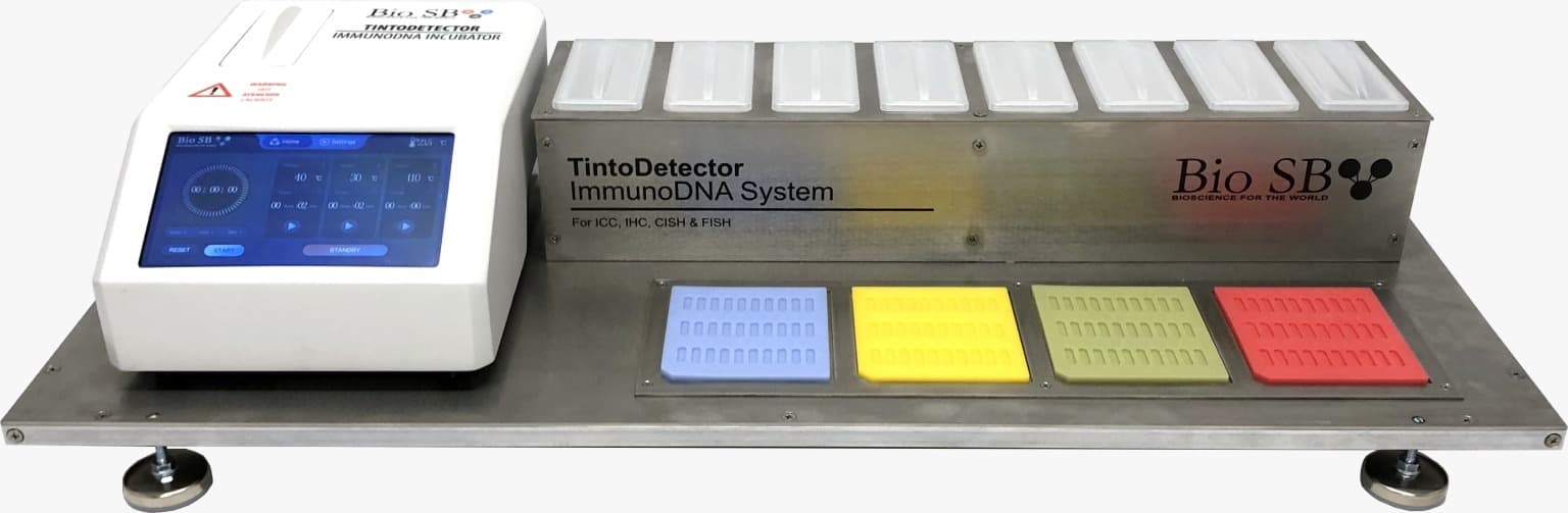 TintoDetector ImmunoDNA — Sistema de Patología Molecular